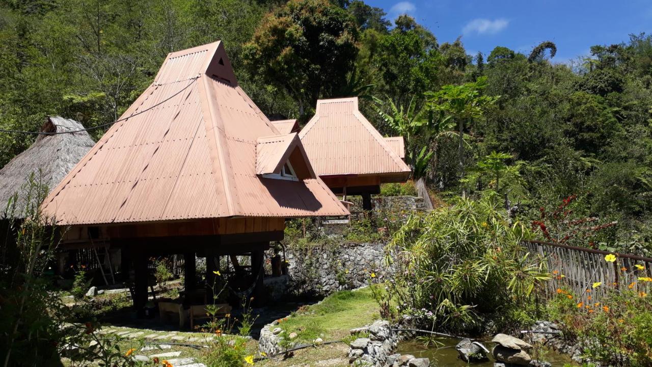 Baleh Boble Guesthouse Banaue Extérieur photo