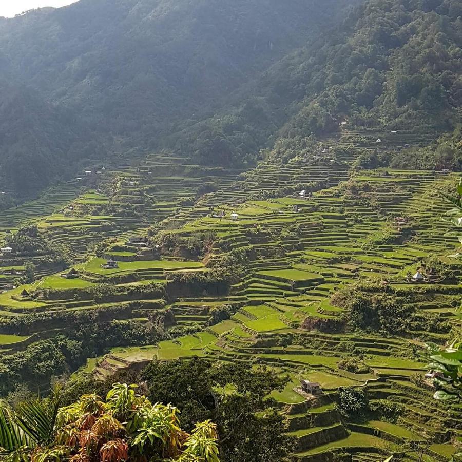 Baleh Boble Guesthouse Banaue Extérieur photo