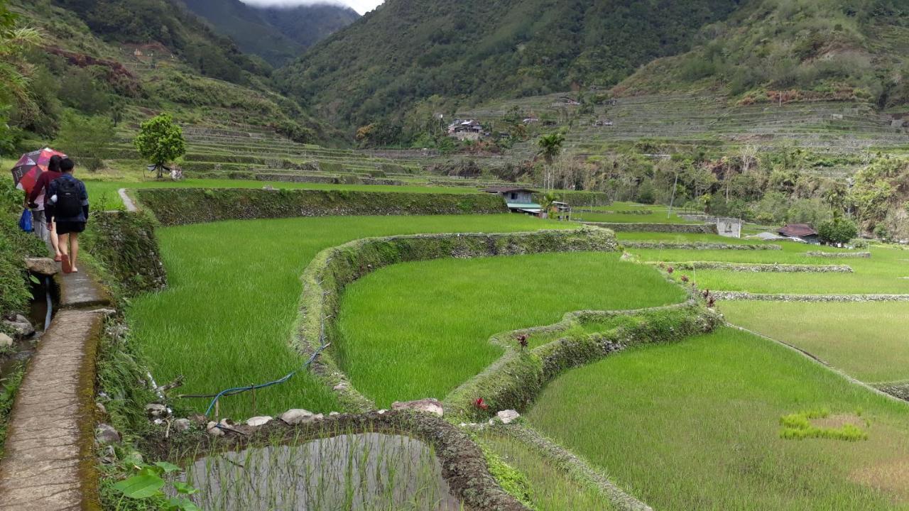 Baleh Boble Guesthouse Banaue Extérieur photo