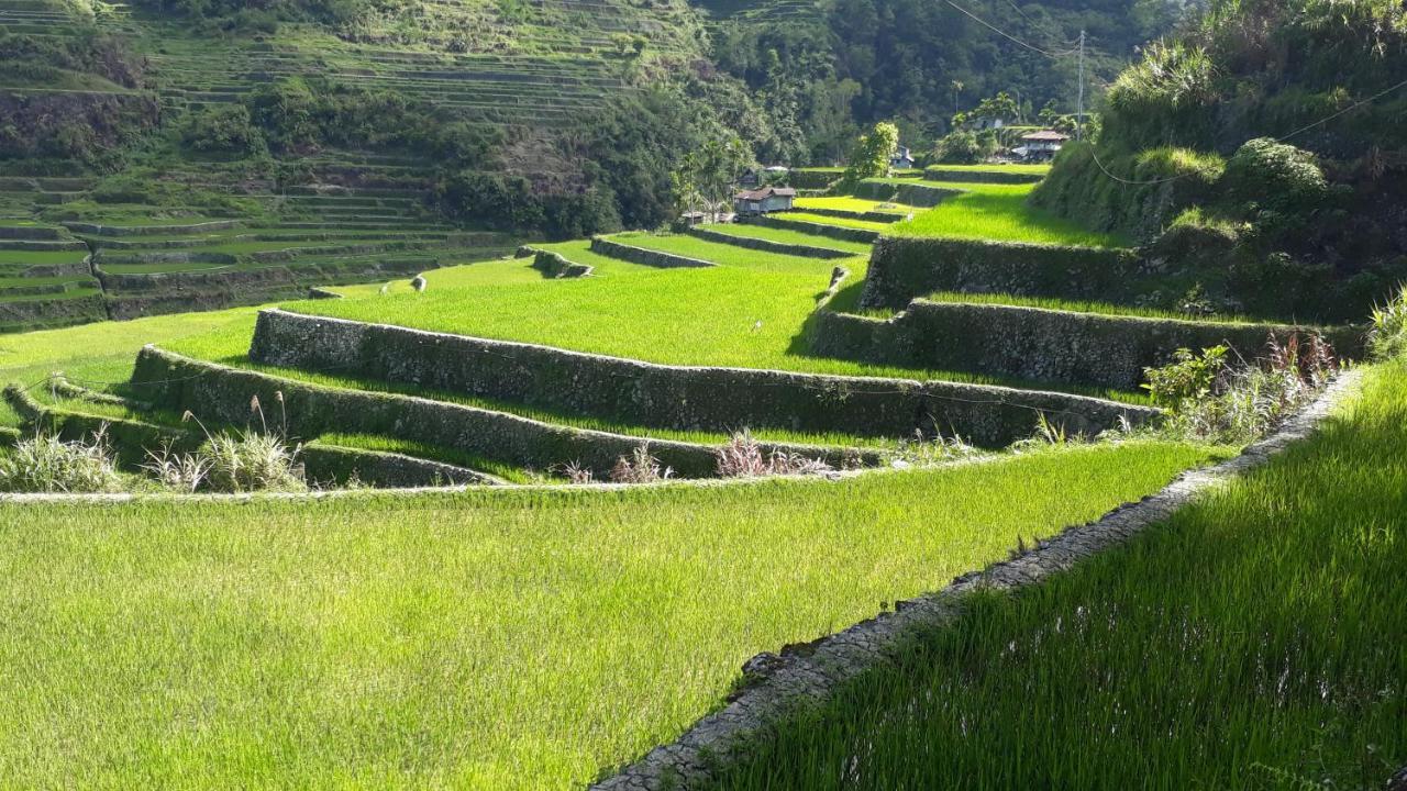 Baleh Boble Guesthouse Banaue Extérieur photo